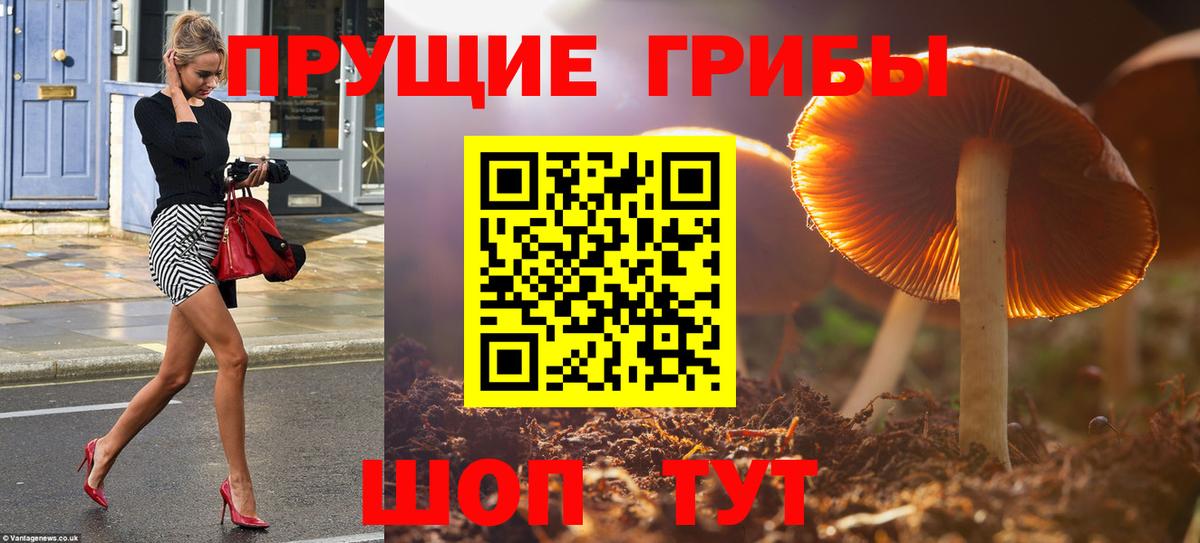 Псилоцибиновые грибы Magic Shrooms Ревда